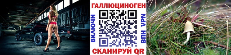 Псилоцибиновые грибы мицелий  Калининец 